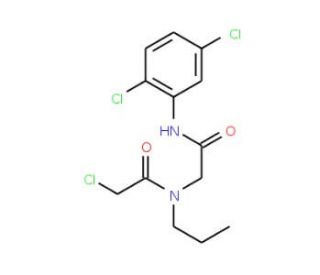2-chloro-N-{2-[(2,5-dichlorophenyl)amino]-2-oxoethyl}-N-propylacetamide - chemical structure image