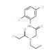 2-chloro-N-{2-[(2,5-dichlorophenyl)amino]-2-oxoethyl}-N-propylacetamide - chemical structure image