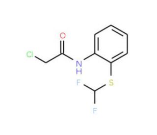 2-chloro-N-{2-[(difluoromethyl)thio]phenyl}acetamide - chemical structure image