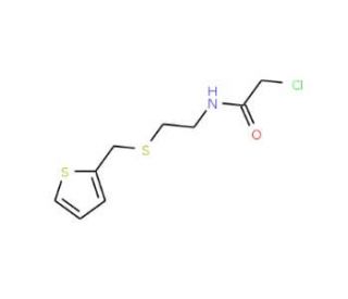 2-chloro-N-{2-[(thien-2-ylmethyl)thio]ethyl}acetamide - chemical structure image