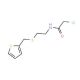 2-chloro-N-{2-[(thien-2-ylmethyl)thio]ethyl}acetamide - chemical structure image