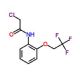 2-chloro-N-[2-(2,2,2-trifluoroethoxy)phenyl]acetamide - chemical structure image
