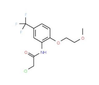 2-Chloro-N-[2-(2-methoxy-ethoxy)-5-trifluoromethyl-phenyl]-acetamide - chemical structure image