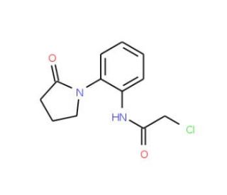2-chloro-N-[2-(2-oxopyrrolidin-1-yl)phenyl]acetamide - chemical structure image