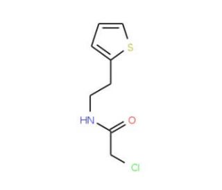 2-chloro-N-[2-(2-thienyl)ethyl]acetamide - chemical structure image