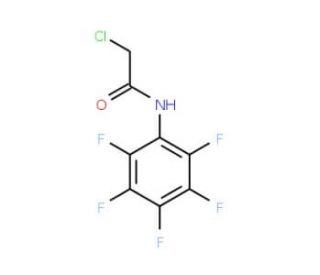 2-Chloro-N-(2,3,4,5,6-pentafluorophenyl)acetamide (CAS 70426-73-2) - chemical structure image