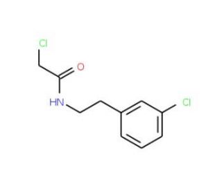 2-chloro-N-[2-(3-chlorophenyl)ethyl]acetamide (CAS 34162-15-7) - chemical structure image