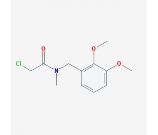 2-chloro-N-(2,3-dimethoxybenzyl)-N-methylacetamide - chemical structure image