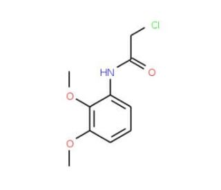 2-chloro-N-(2,3-dimethoxyphenyl)acetamide - chemical structure image