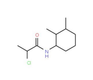 2-chloro-N-(2,3-dimethylcyclohexyl)propanamide - chemical structure image