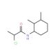 2-chloro-N-(2,3-dimethylcyclohexyl)propanamide - chemical structure image