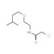 2-chloro-N-[2-(3-methylbutoxy)ethyl]acetamide (CAS 1193389-69-3) - chemical structure image