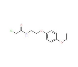 2-chloro-N-[2-(4-ethoxyphenoxy)ethyl]acetamide - chemical structure image