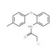 2-chloro-N-[2-(4-methylphenoxy)phenyl]acetamide - chemical structure image