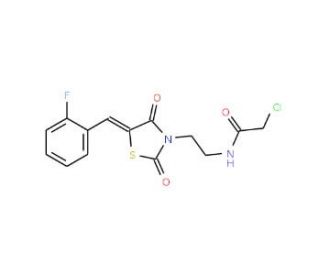 2-Chloro-N-{2-[5-(2-fluoro-benzylidene)-2,4-dioxo-thiazolidin-3-yl]-ethyl}-acetamide - chemical structure image