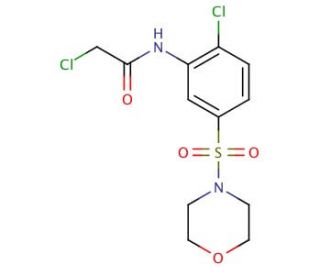 2-Chloro-N-[2-chloro-5-(morpholine-4-sulfonyl)-phenyl]-acetamide - chemical structure image