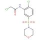 2-Chloro-N-[2-chloro-5-(morpholine-4-sulfonyl)-phenyl]-acetamide - chemical structure image