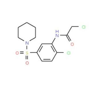 2-Chloro-N-[2-chloro-5-(piperidine-1-sulfonyl)-phenyl]-acetamide - chemical structure image