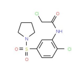 2-Chloro-N-[2-chloro-5-(pyrrolidine-1-sulfonyl)-phenyl]-acetamide - chemical structure image