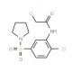 2-Chloro-N-[2-chloro-5-(pyrrolidine-1-sulfonyl)-phenyl]-acetamide - chemical structure image