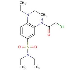 2-chloro-N-{2-(diethylamino)-5-[(diethylamino)sulfonyl]phenyl}acetamide - chemical structure image