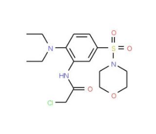 2-Chloro-N-[2-diethylamino-5-(morpholine-4-sulfonyl)-phenyl]-acetamide - chemical structure image