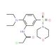 2-Chloro-N-[2-diethylamino-5-(morpholine-4-sulfonyl)-phenyl]-acetamide - chemical structure image