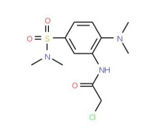 2-chloro-N-{2-(dimethylamino)-5-[(dimethylamino)sulfonyl]phenyl}acetamide - chemical structure image