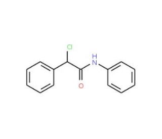 2-chloro-N,2-diphenylacetamide (CAS 5110-77-0) - chemical structure image