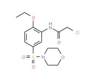 2-chloro-N-[2-ethoxy-5-(morpholin-4-ylsulfonyl)phenyl]acetamide - chemical structure image