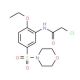 2-chloro-N-[2-ethoxy-5-(morpholin-4-ylsulfonyl)phenyl]acetamide - chemical structure image