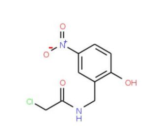2-chloro-N-(2-hydroxy-5-nitrobenzyl)acetamide (CAS 110952-49-3) - chemical structure image