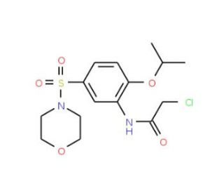 2-chloro-N-[2-isopropoxy-5-(morpholin-4-ylsulfonyl)phenyl]acetamide - chemical structure image