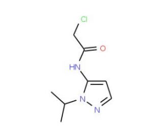 2-Chloro-N-(2-isopropyl-2H-pyrazol-3-yl)-acetamide - chemical structure image