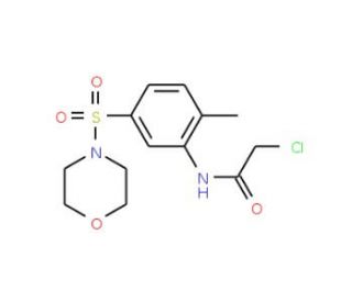 2-Chloro-N-[2-methyl-5-(morpholine-4-sulfonyl)-phenyl]-acetamide - chemical structure image