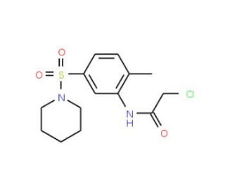 2-Chloro-N-[2-methyl-5-(piperidine-1-sulfonyl)-phenyl]-acetamide - chemical structure image