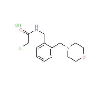 2-chloro-N-[2-(morpholin-4-ylmethyl)benzyl]acetamide hydrochloride - chemical structure image