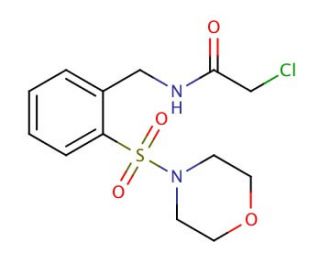 2-chloro-N-[2-(morpholin-4-ylsulfonyl)benzyl]acetamide - chemical structure image