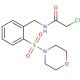 2-chloro-N-[2-(morpholin-4-ylsulfonyl)benzyl]acetamide - chemical structure image