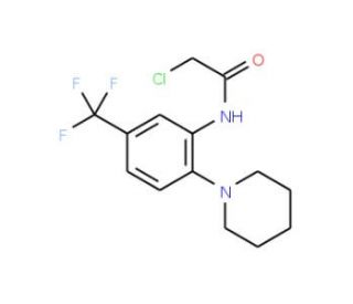 2-chloro-N-[2-piperidin-1-yl-5-(trifluoromethyl)phenyl]acetamide - chemical structure image