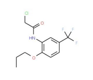 2-chloro-N-[2-propoxy-5-(trifluoromethyl)phenyl]acetamide - chemical structure image
