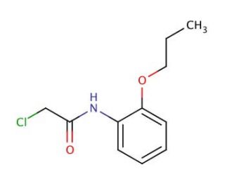 2-chloro-N-(2-propoxyphenyl)acetamide - chemical structure image
