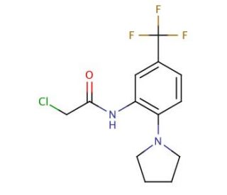 2-chloro-N-[2-pyrrolidin-1-yl-5-(trifluoromethyl)phenyl]acetamide - chemical structure image