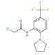 2-chloro-N-[2-pyrrolidin-1-yl-5-(trifluoromethyl)phenyl]acetamide - chemical structure image