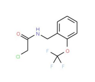 2-chloro-N-[2-(trifluoromethoxy)benzyl]acetamide - chemical structure image
