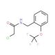 2-chloro-N-[2-(trifluoromethoxy)benzyl]acetamide - chemical structure image