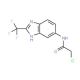 2-chloro-N-[2-(trifluoromethyl)-1H-1,3-benzodiazol-5-yl]acetamide - chemical structure image