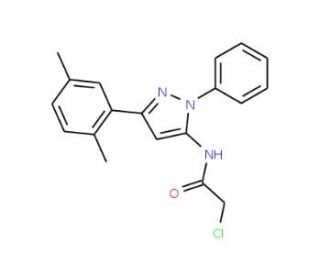 2-chloro-N-[3-(2,5-dimethylphenyl)-1-phenyl-1H-pyrazol-5-yl]acetamide - chemical structure image