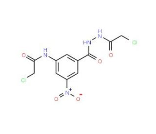 2-chloro-N-(3-{[2-(chloroacetyl)hydrazino]carbonyl}-5-nitrophenyl)acetamide - chemical structure image
