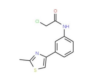 2-Chloro-N-[3-(2-methyl-thiazol-4-yl)-phenyl]-acetamide - chemical structure image